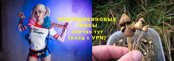 гидропоника Алексеевка