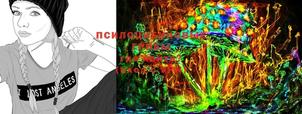ПСИЛОЦИБИНОВЫЕ ГРИБЫ Алзамай