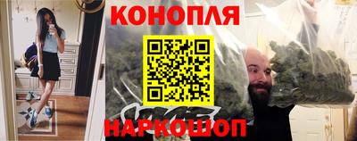 сатива Чебоксары