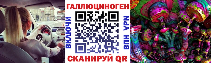 сколько стоит  Орск  Галлюциногенные грибы Psilocybe 