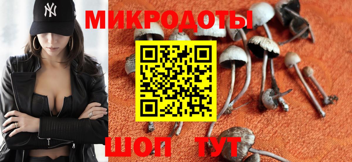 Галлюциногенные грибы Cubensis Орск