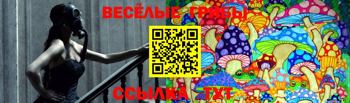 наркота  Псилоцибиновые грибы Psilocybe  Вход с VPN  Орск 
